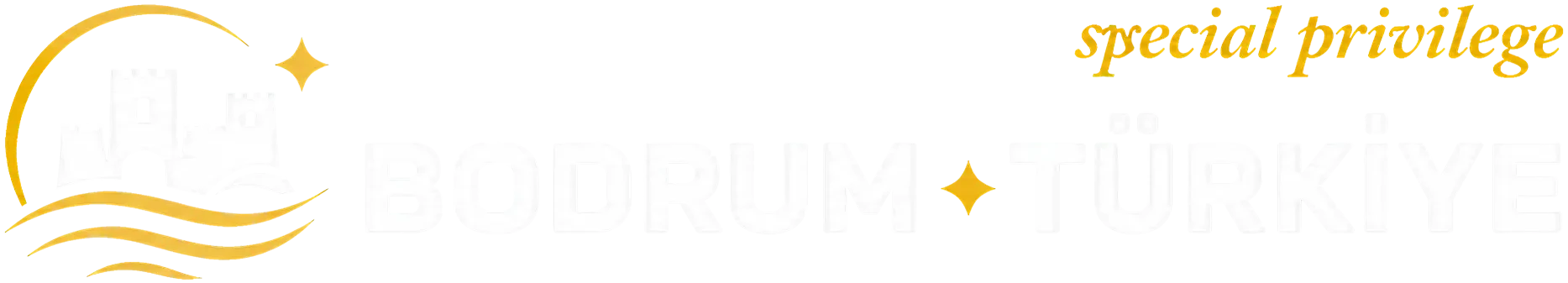 Footer Logo